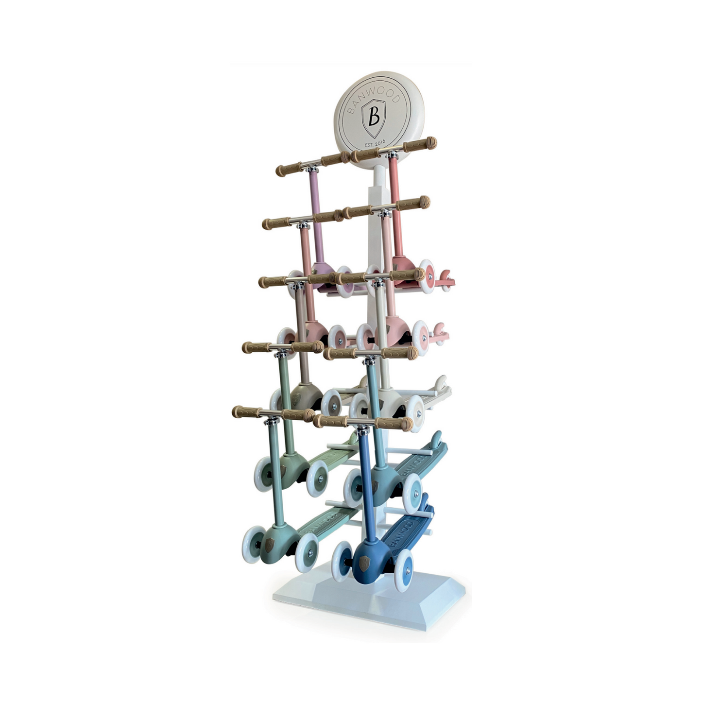 Eco Scooter Display